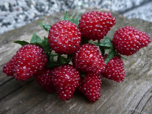 Raspberries — foto 2
