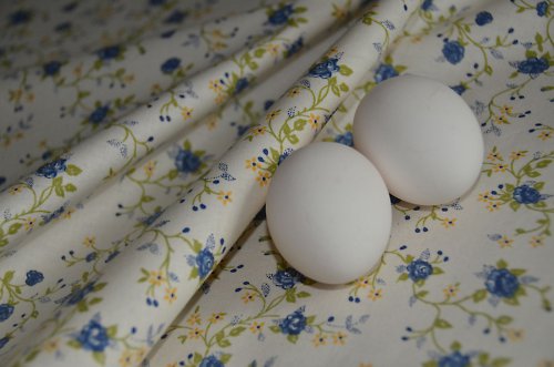 Jako z porcelánu II. — foto 5