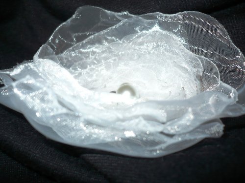Bledulka — foto 2