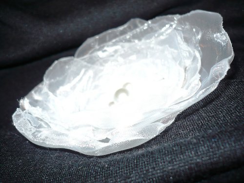 Bledulka — foto 3