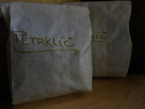 Petrklíče — foto 2