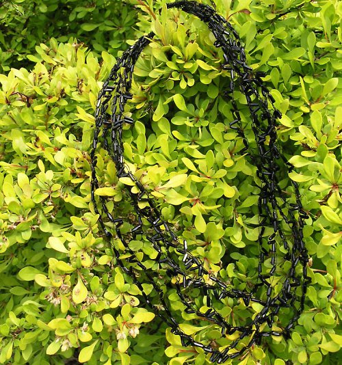 Nigella arvensis — foto 5