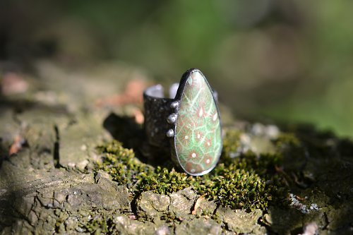 Minulost — foto 2