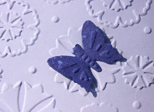 Dívčí přání s motýlkem — foto 3