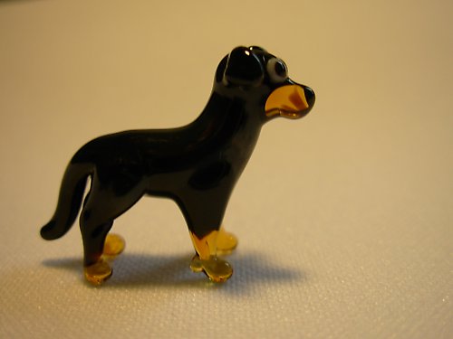 Beauceron — foto 2