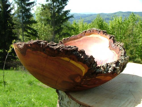 Trnková s krásnou kresbou — foto 4