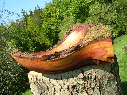 Nepravidelná z odzemka — foto 3