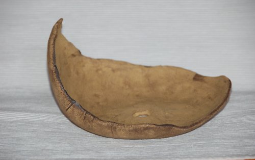 Bonsai skořepina BS VII. — foto 2