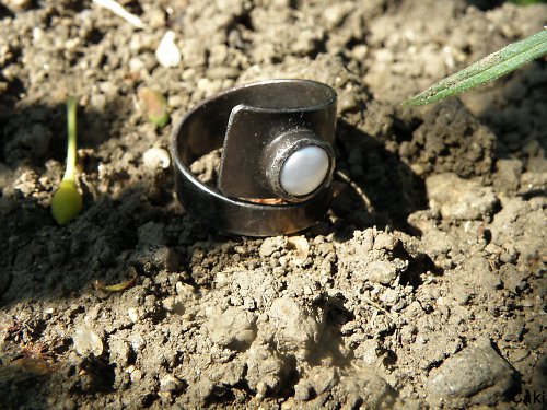 Říční perla v prstenu............ — foto 4