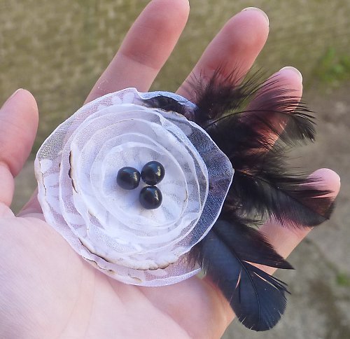 Black swan — foto 3