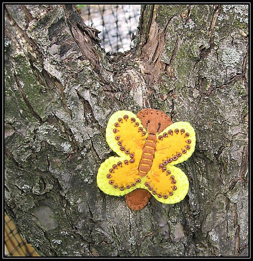 Sponečka "Žluťásek" — foto 5