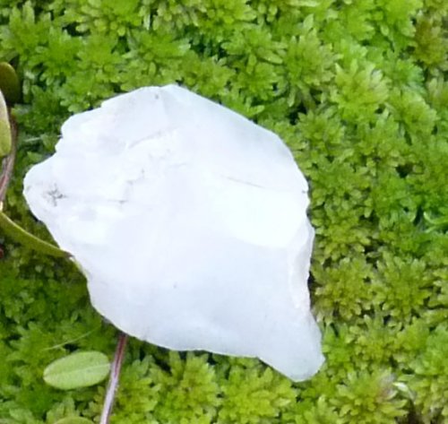 Léčitelská sada 2 — foto 3