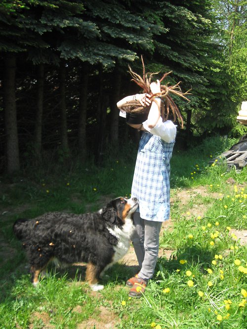 Pomněnkové šatky — foto 5