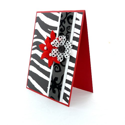 Zebra — foto 2