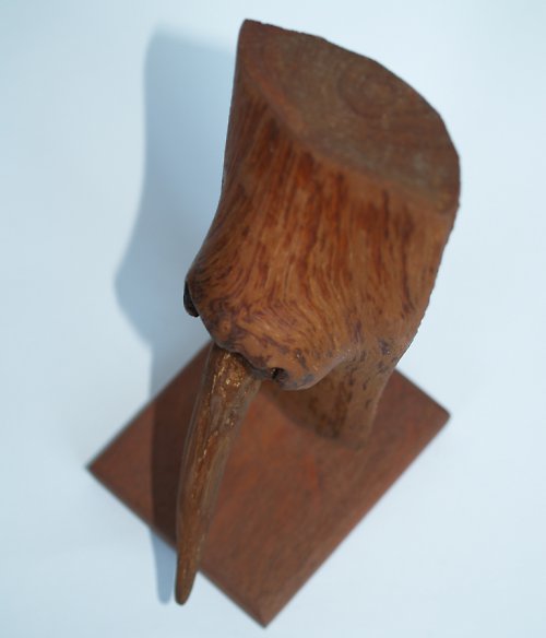 Cyrano II — foto 6