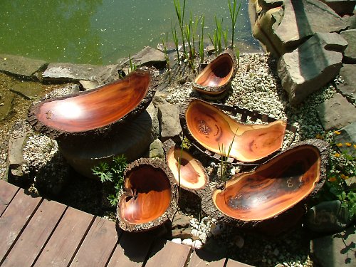 Obrovská švestková mísa — foto 5