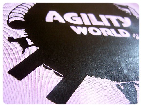 Agility world - oranžové — foto 3