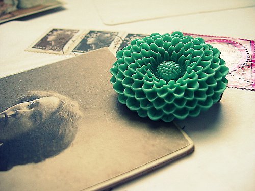 Pherenice — foto 2