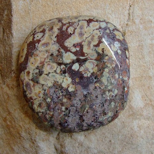 Jaspis Leopardí — foto 2