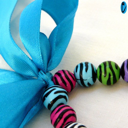 Barevná zebra — foto 2