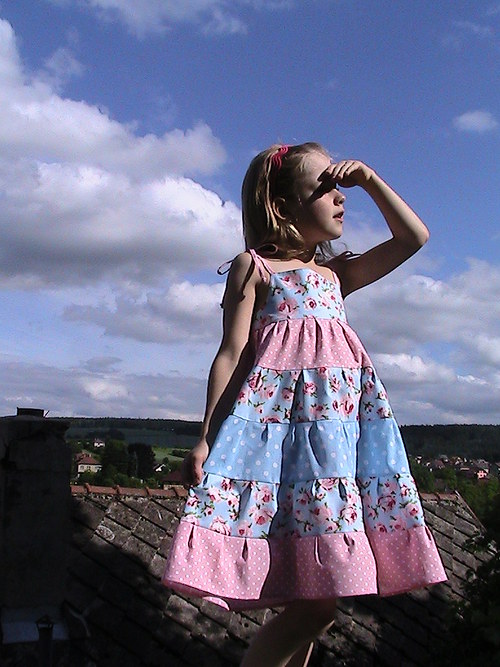 RŮŽIČKY V ČERVÁNCÍCH — foto 3