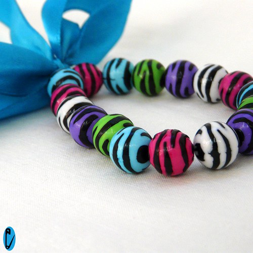 Barevná zebra — foto 4