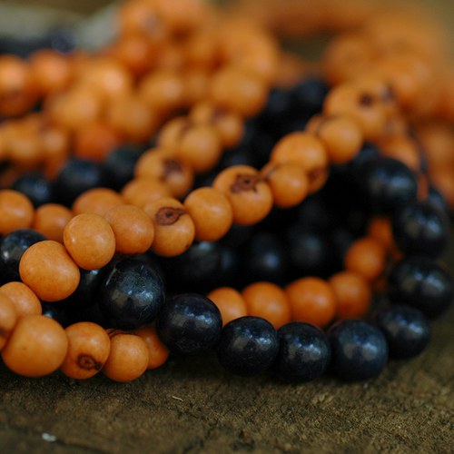 Acai oranž — foto 4
