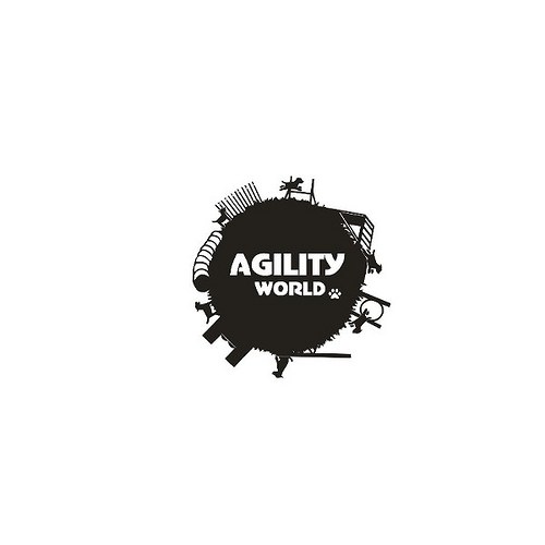 Agility world — foto 2