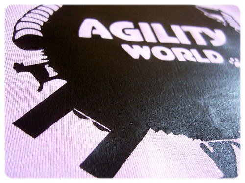 Agility world — foto 3