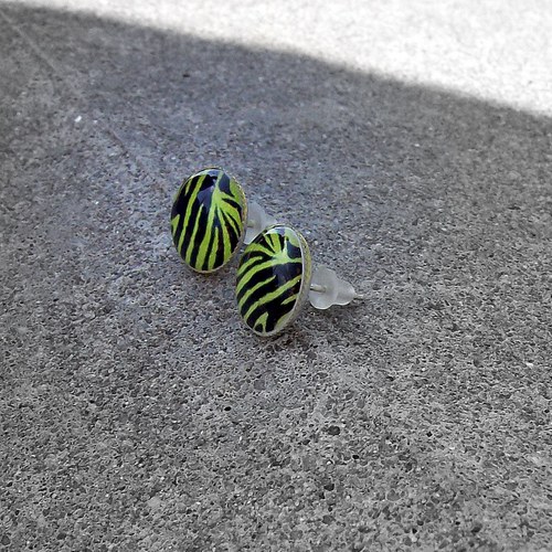 Animal Zebra Green — foto 2