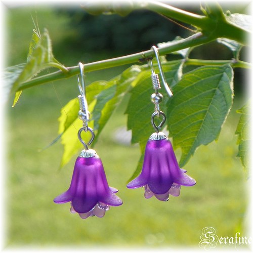 Campanula II. — foto 2