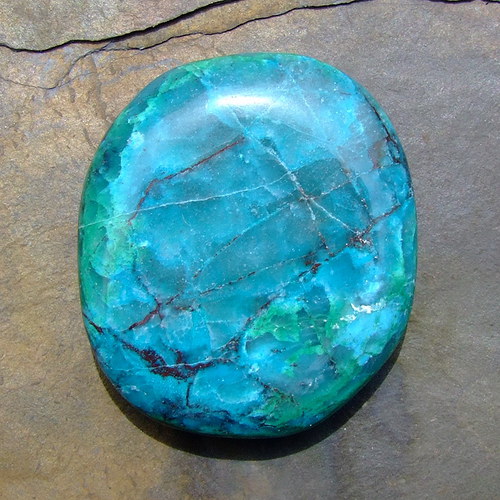 Chrysokol — foto 2