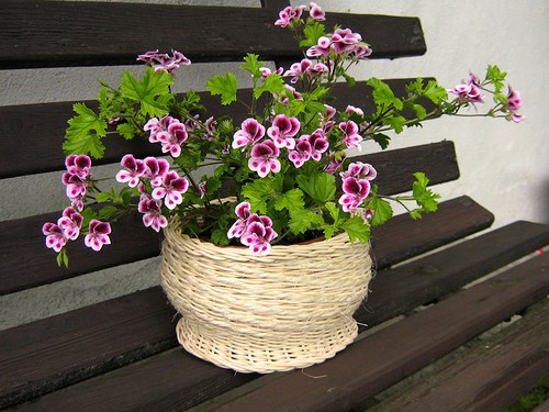 Obal na květináč - BEZ DNA — foto 2