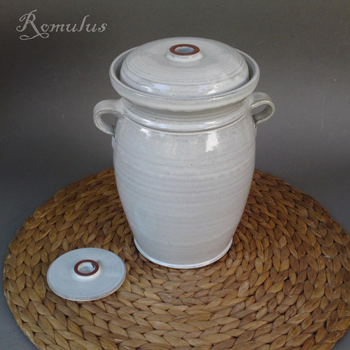 Kvašák bílý (2 l) — foto 2