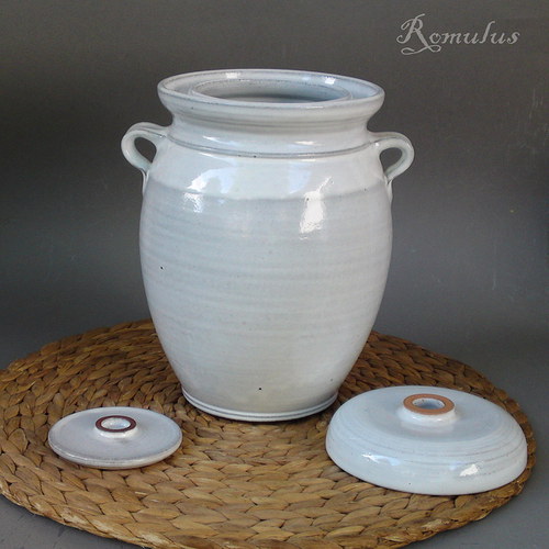 Kvašák bílý (2,4 l) — foto 2