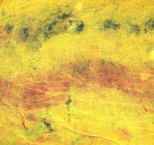 Grapefruitová — foto 3