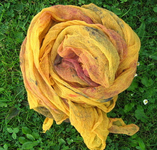 Grapefruitová — foto 4