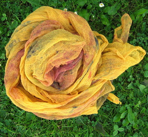 Grapefruitová — foto 5