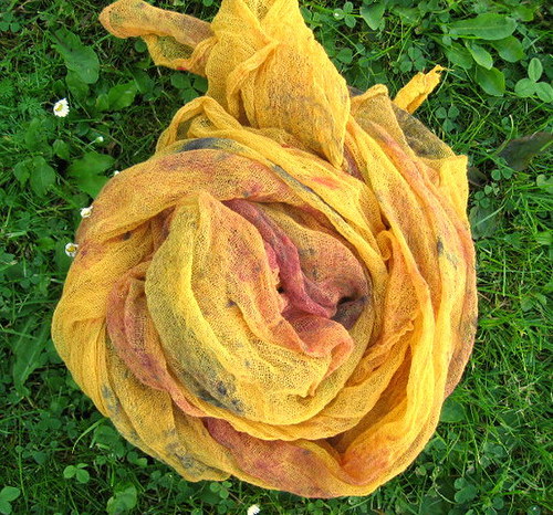 Grapefruitová — foto 6