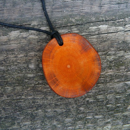 Koliesko orange II — foto 3