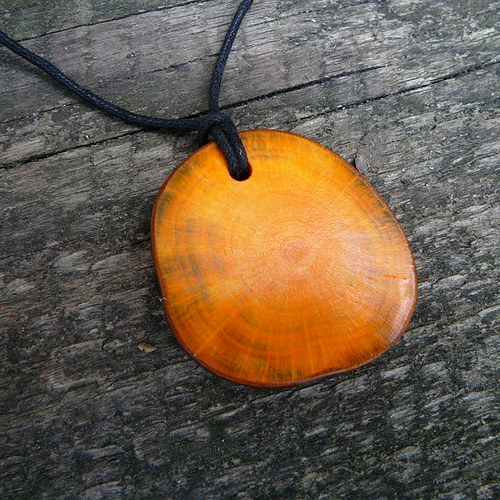 Koliesko orange II — foto 4