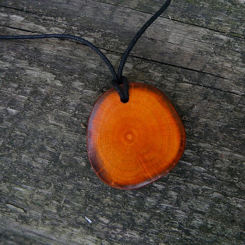 Koliesko orange II — foto 5