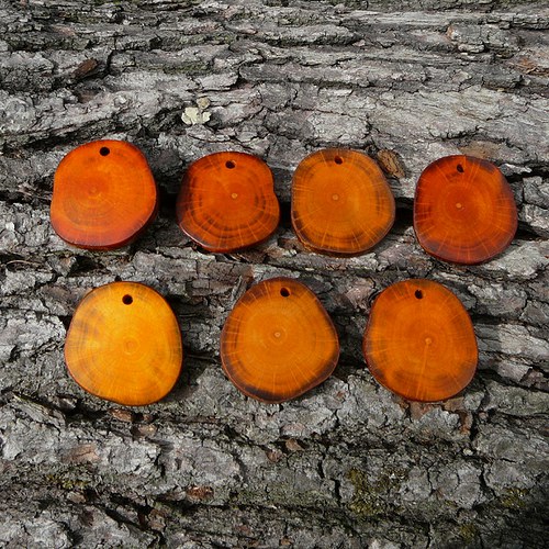 Koliesko orange II — foto 6