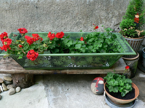 Plechová vanička — foto 2