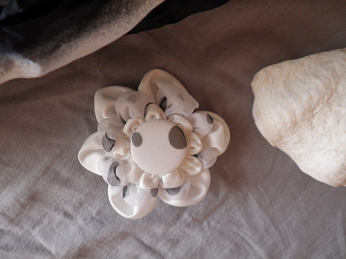 Puntíkatá :) — foto 3