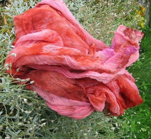 RŮŽOVÁ BOUŘE — foto 3