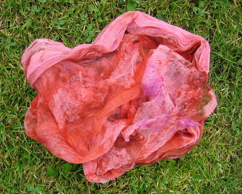 RŮŽOVÁ BOUŘE — foto 5