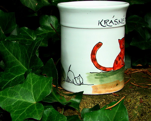 Hrnek kočkování — foto 2