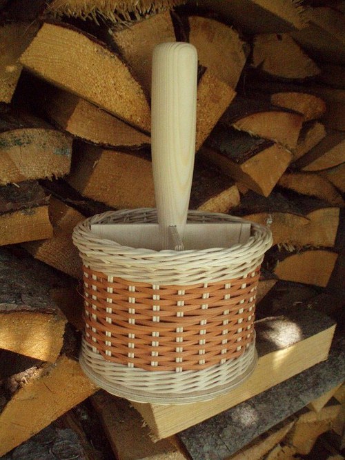 Vařečkovník rovný — foto 2