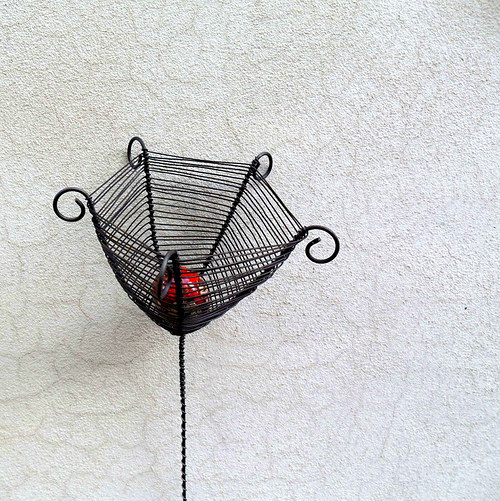 Kytka. — foto 2